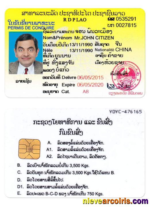 LAOS driving license